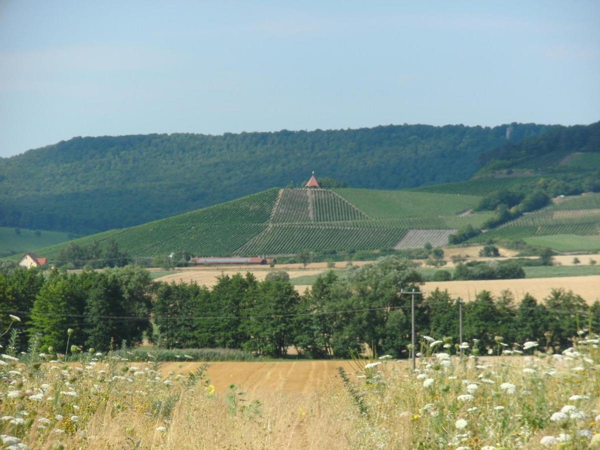 Pension Zur Traube 3 Sterne Oberschwarzach Buitenkant foto