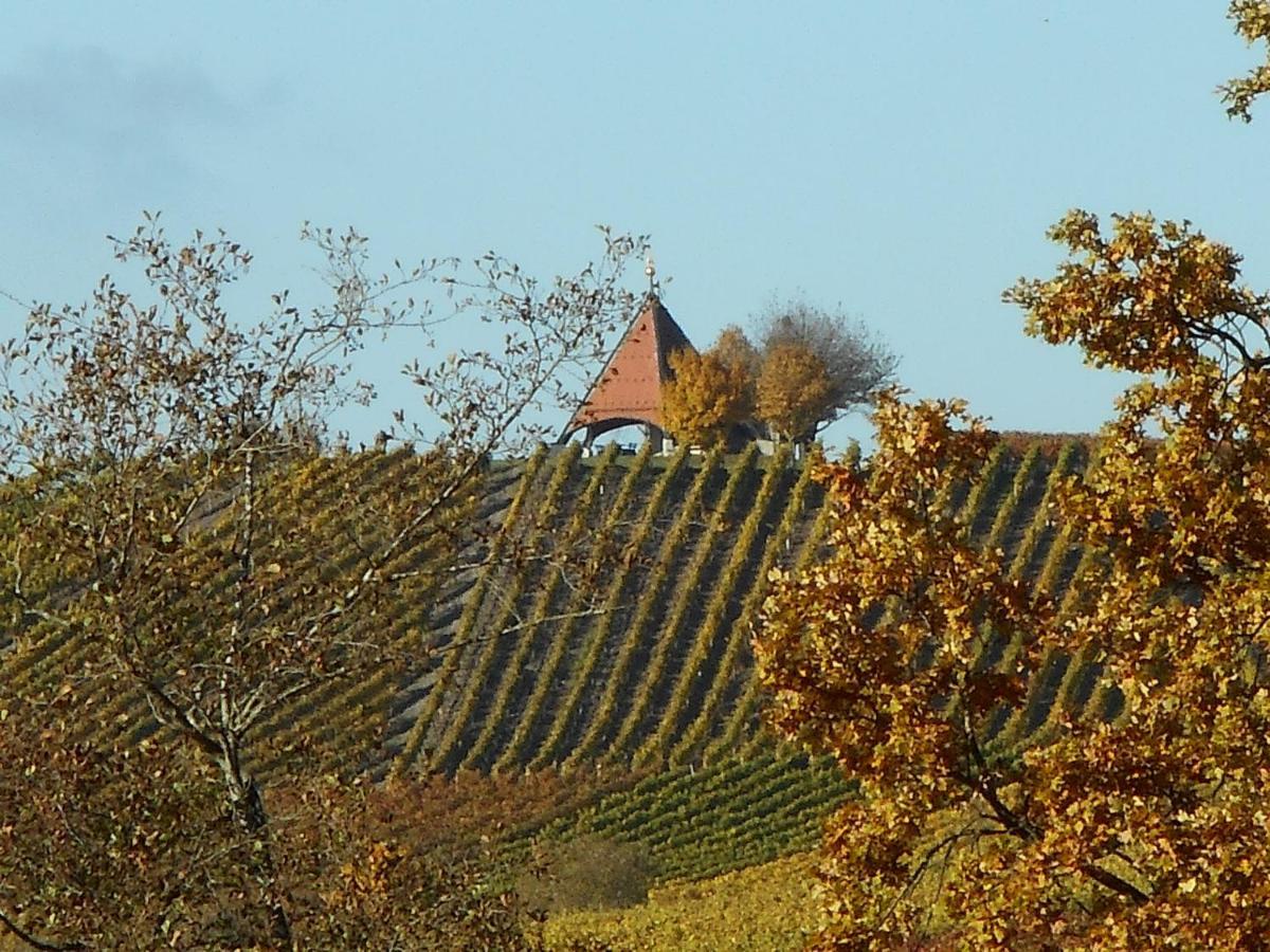 Pension Zur Traube 3 Sterne Oberschwarzach Buitenkant foto